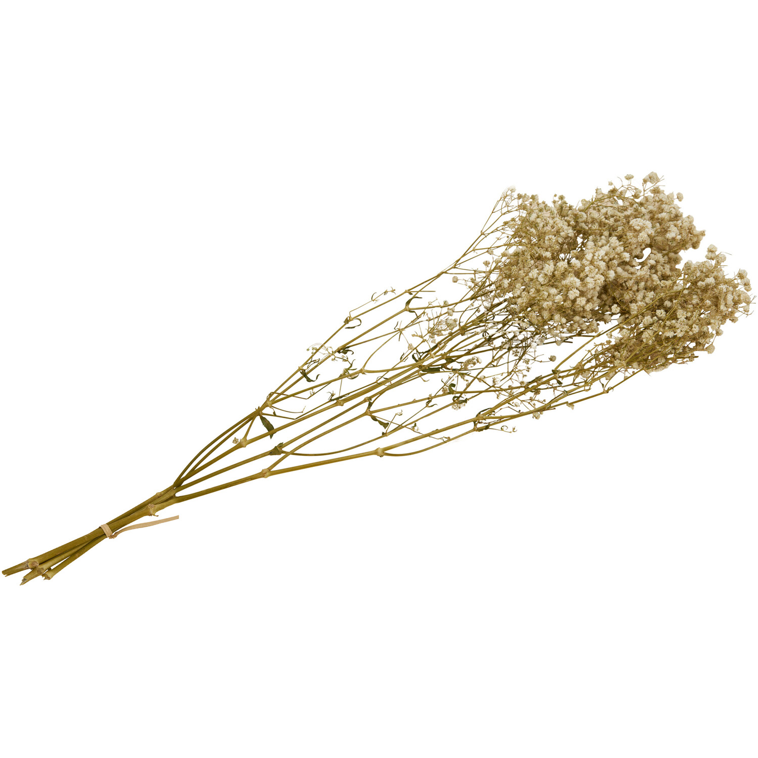 Dried Gypsophila Bouquet - Natural Image 1