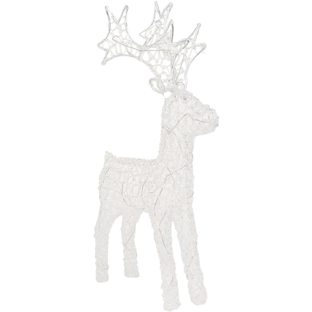 60 LED Acrylic Stag Image 7