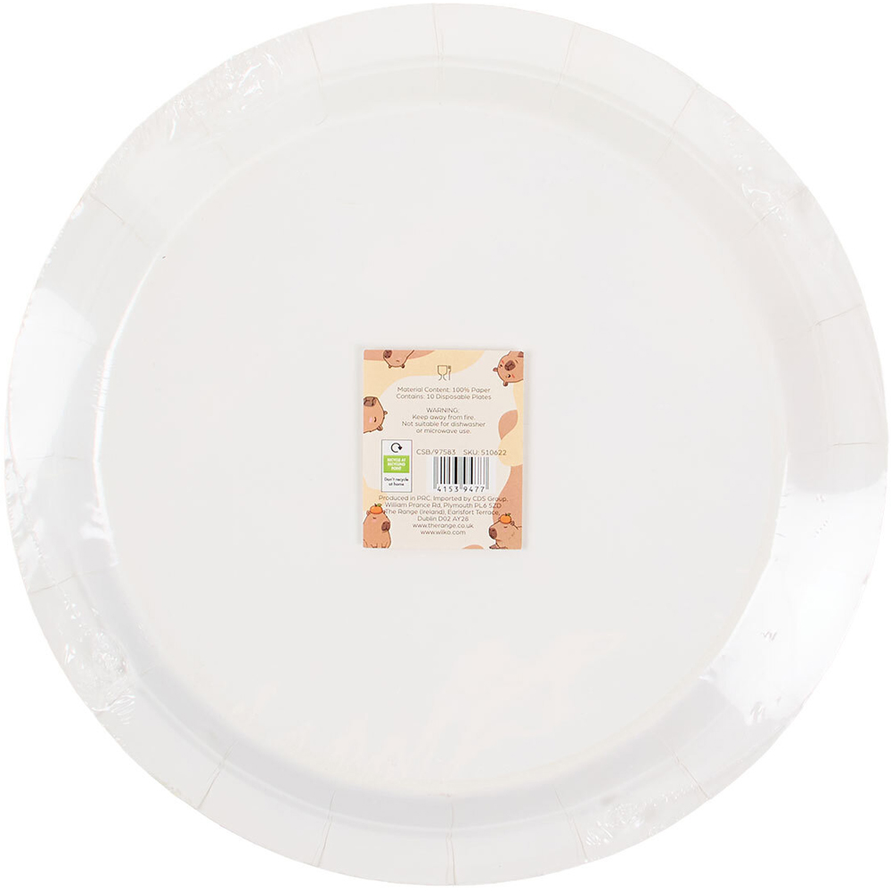 Pack of 10 Capybara Paper Plates Blue Image 5