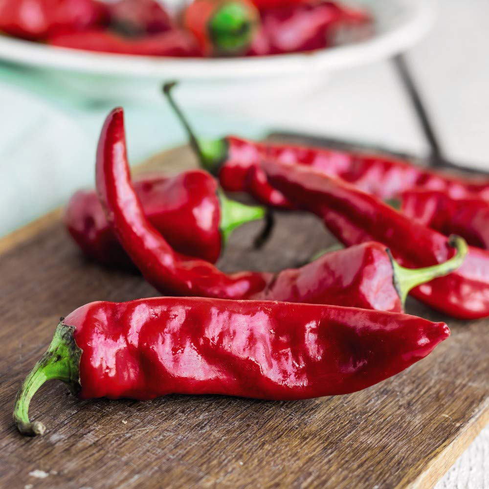 Thompson and Morgan Chilli Pepper Anaheim Seeds Image