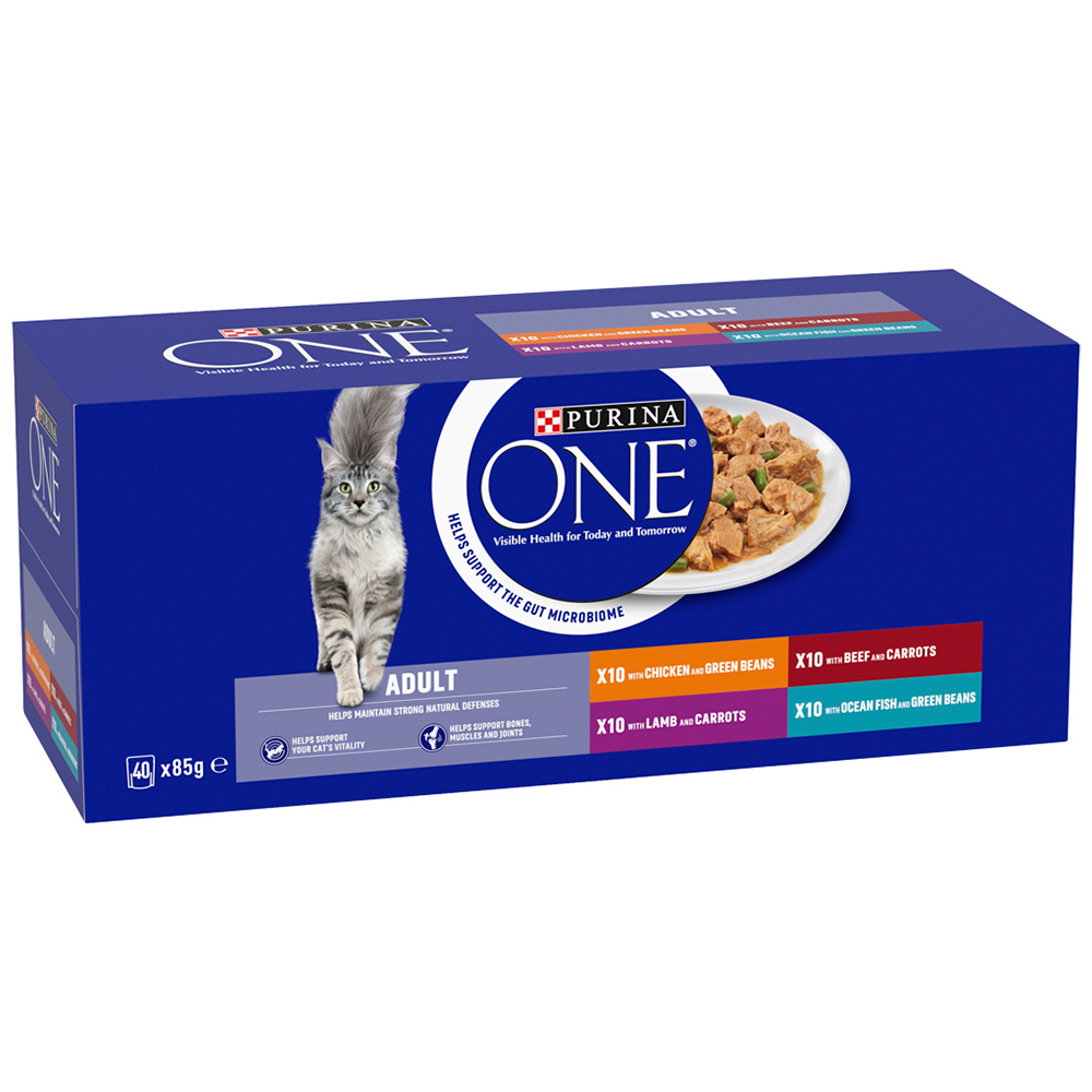 Purina ONE Mini Fillets in Gravy Adult Cat Food 40 x 85g Image 3