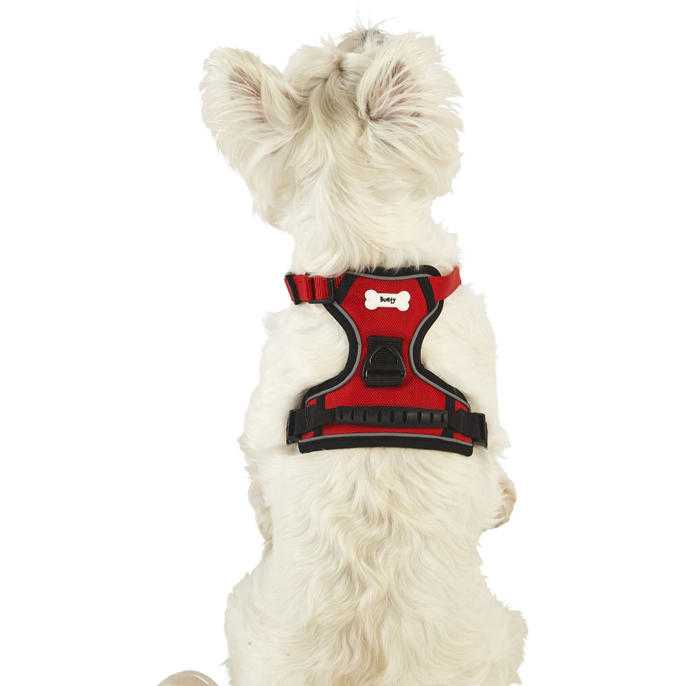 Bunty Adventure Extra Large Red  Harness Image 5