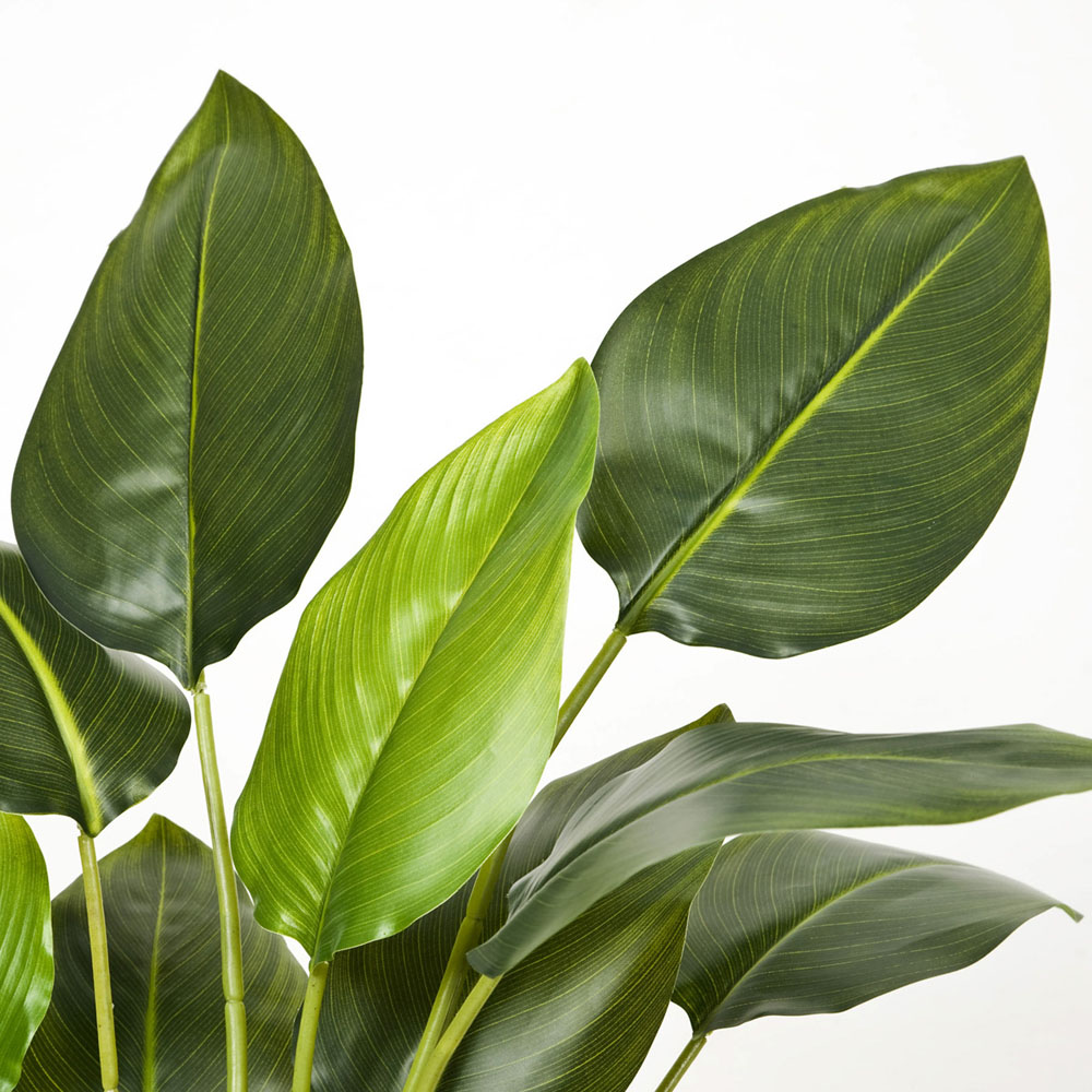 GreenBrokers Artificial Bird of Paradise Plant in Plastic Pot 78cm Image 3