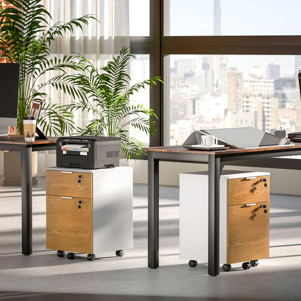 HOMCOM 2 Drawer Filing Cabinet with Adjustable Hanging Bars Image 3