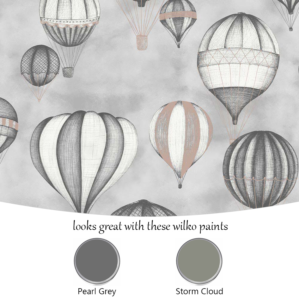 Sublime Balloon Fiesta Graphite Wallpaper Image 4