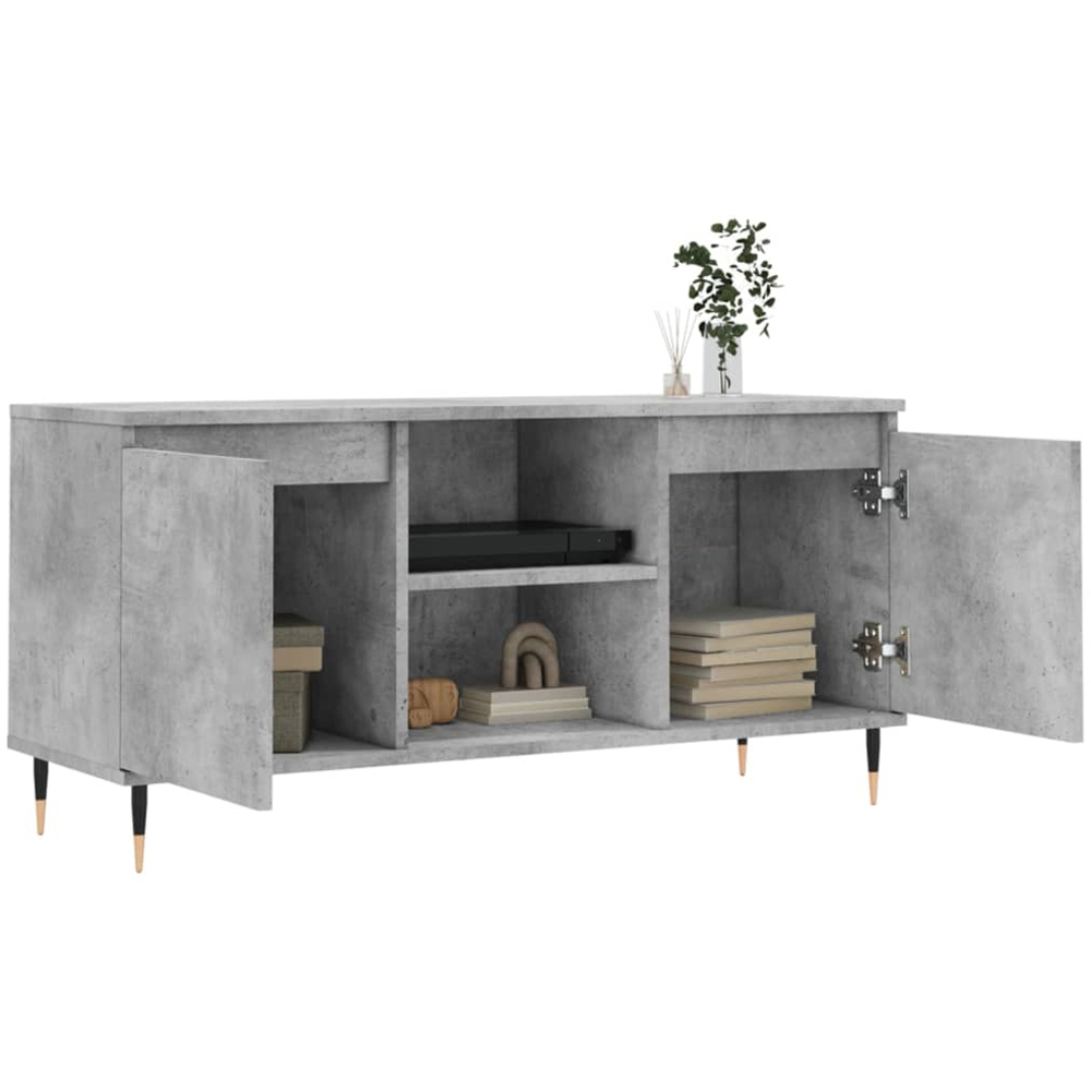 vidaXL 2 Door 2 Shelf Concrete Grey TV Cabinet Image 4