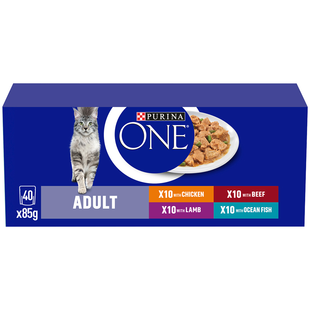 Purina ONE Mini Fillets in Gravy Adult Cat Food 40 x 85g Image 2
