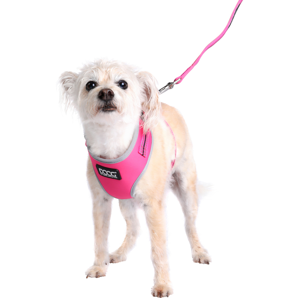 DOOG Large Neon Lady Dog Harness Image 5