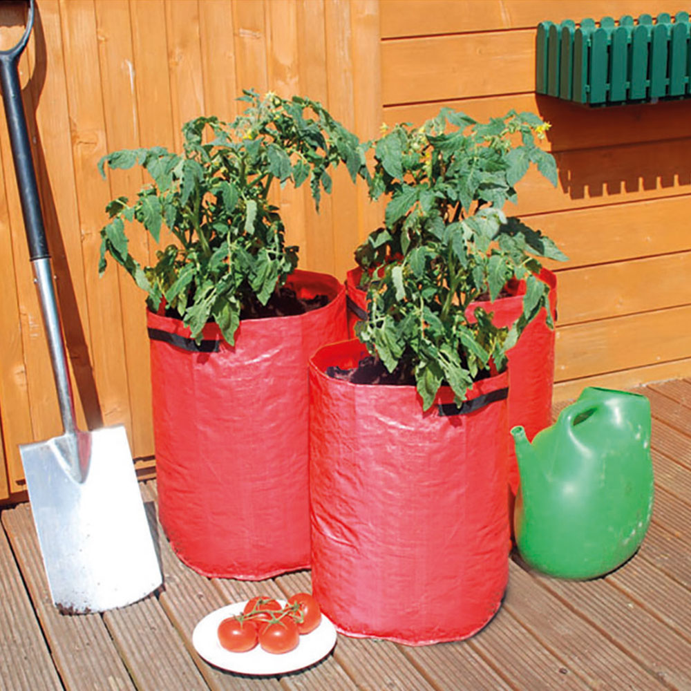 St Helens Tomato Grow Bags 3 Pack Image 2