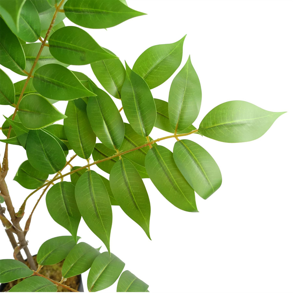 Leaf Evergreen Toona Sinensis Artificial Plant 65cm Image 2