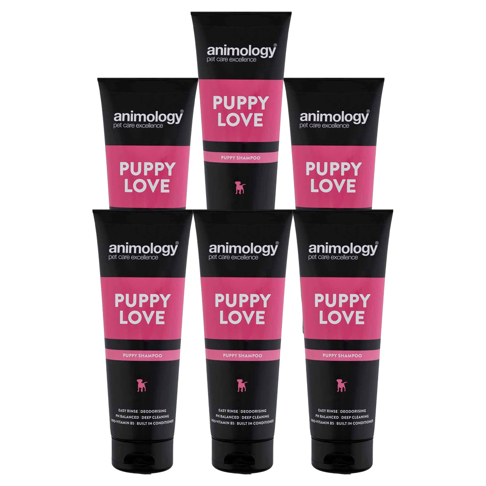 Animology Puppy Love Dog Shampoo Case of 6 x 250ml Image 1