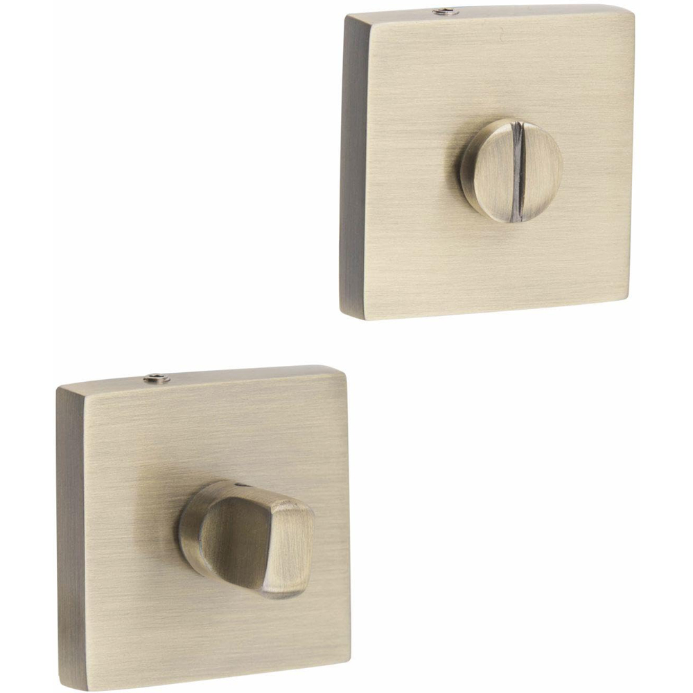 Golden Grace Antique Brass Lime Thumbturn Coin Release Image 1