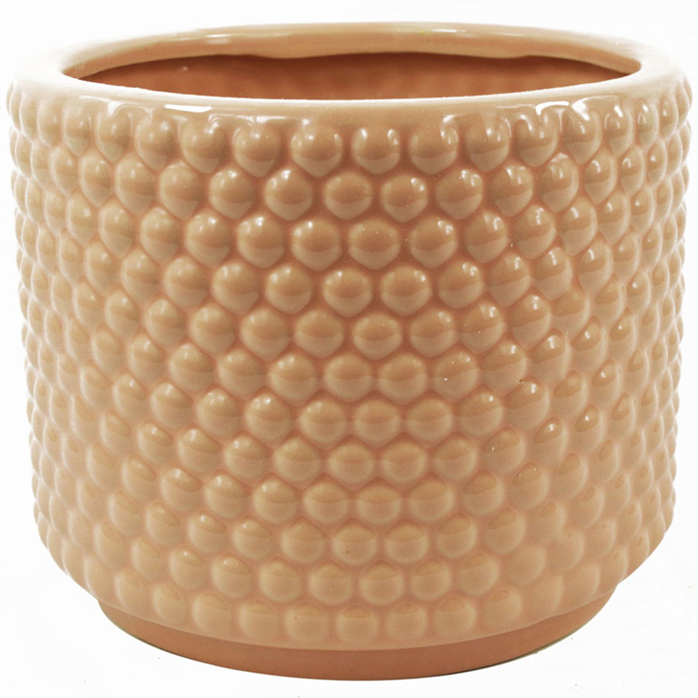Leaf Dusty Pink Raised Dot Ceramic Plant Pot 15 x 12.5cm Image 1