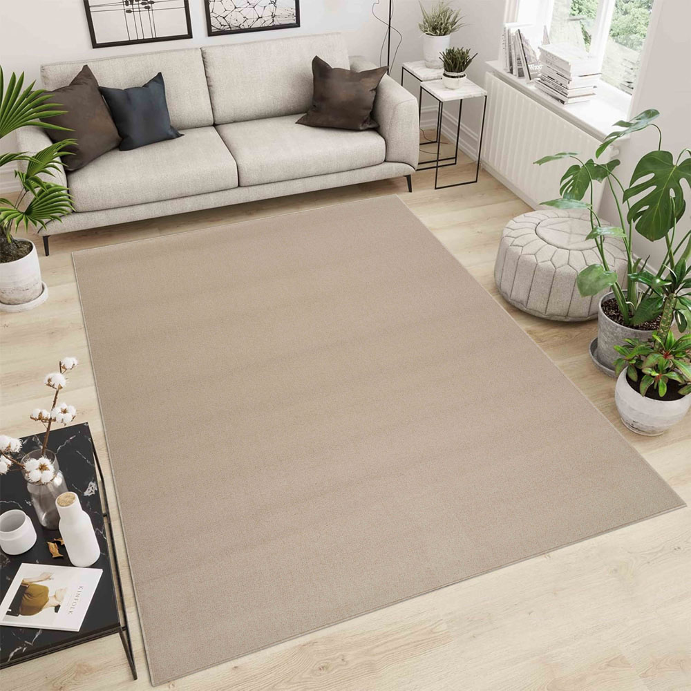 Desire Rugs Simple Light Beige Low Pile Felt Backing Tufted Rug 170 x 120cm Image 2
