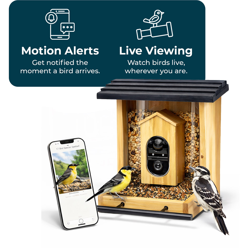 Jack Stonehouse Smart Bird Feeder Camera with AI Species Identifier and Night Vision Image 5