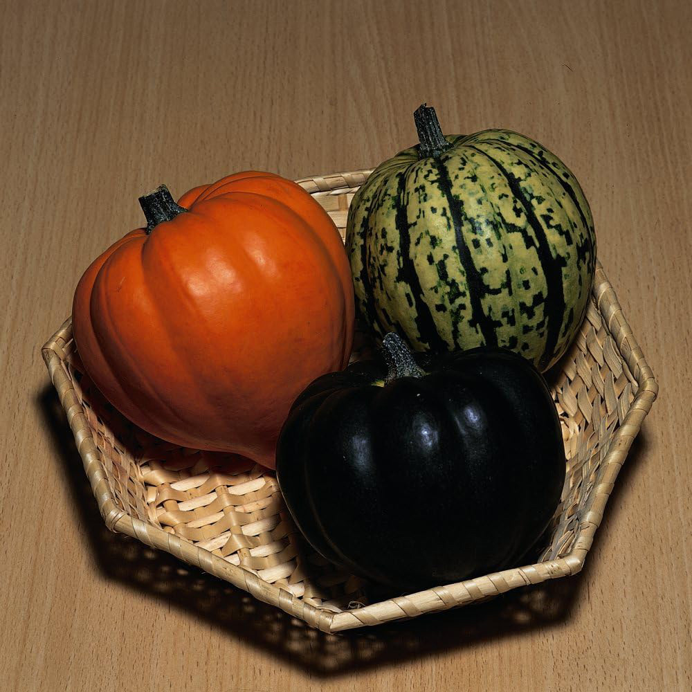 Thompson and Morgan Squash Winter Celebration Mixed F1 Hybrid Seeds Image 3