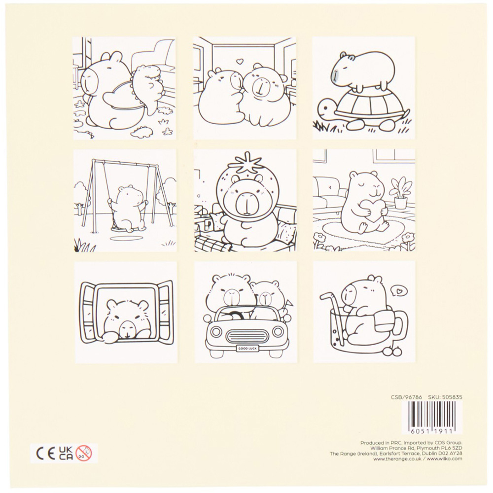 Cute Capybara Colouring Book Image 4