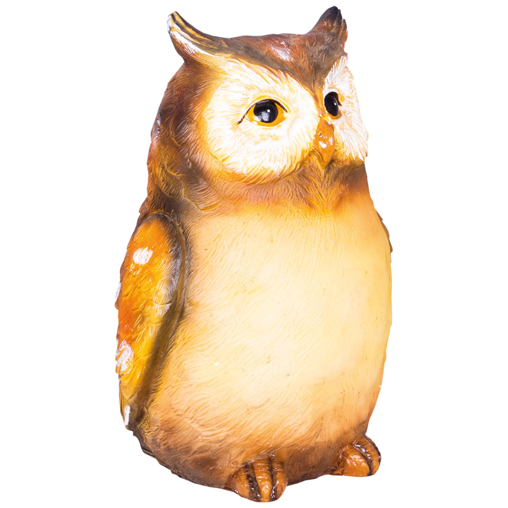 St Helens Female Light Up Owl Ornament Image 1