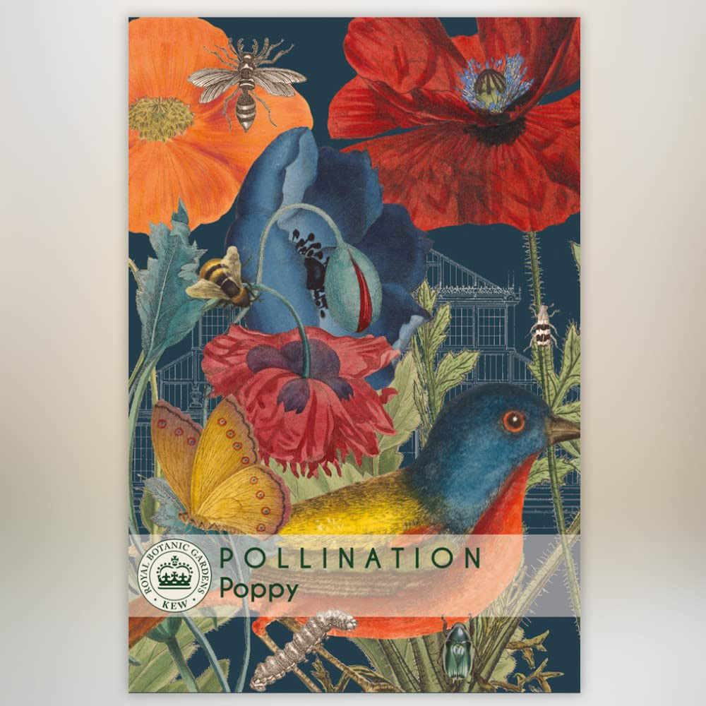 Thompson & Morgan New Kew Poppy Promo Seeds Image 2