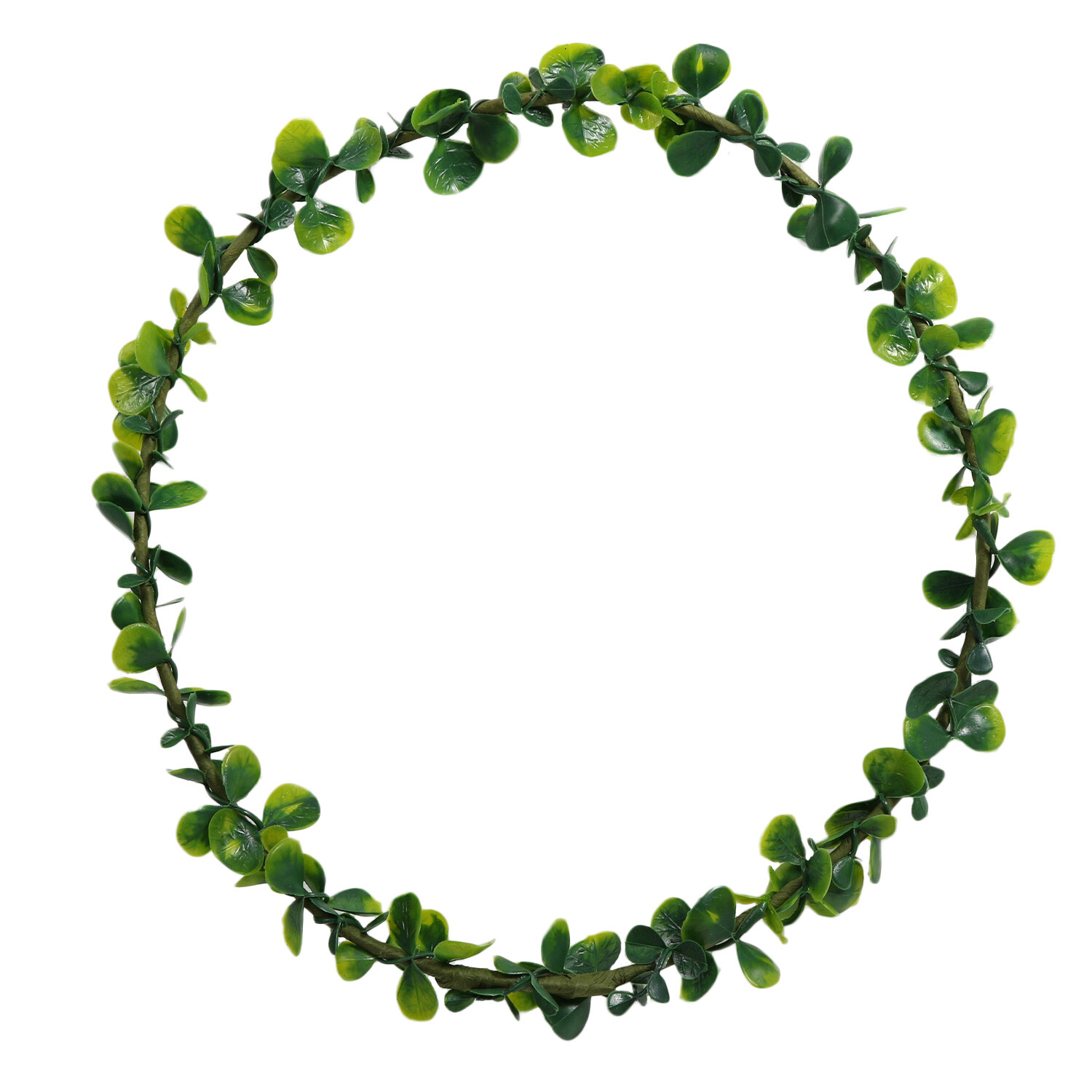 Vine Wreath Base - Green Image