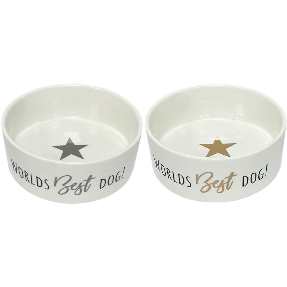 Single Clever Paws World's Best Dog Bowl in Assorted styles Image 1