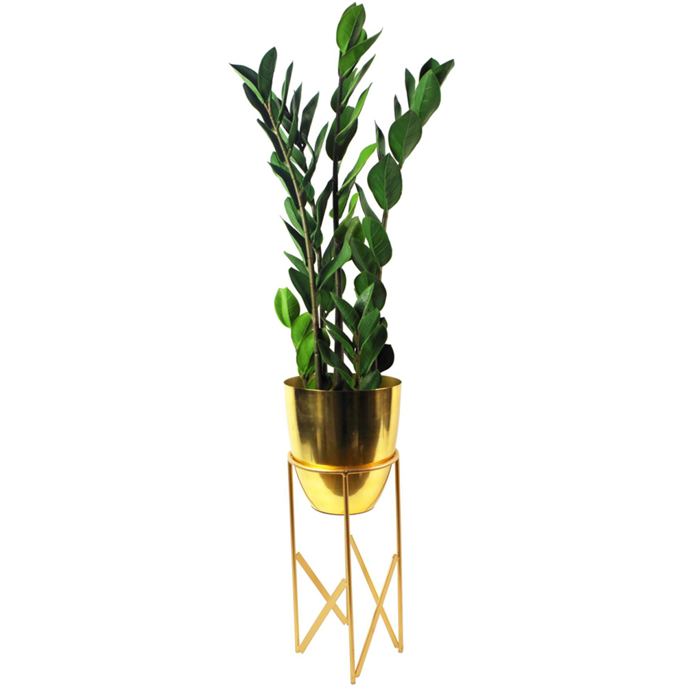 Botanik Zanzibar Gem Foliage Artificial Plant 2.5ft Image 5