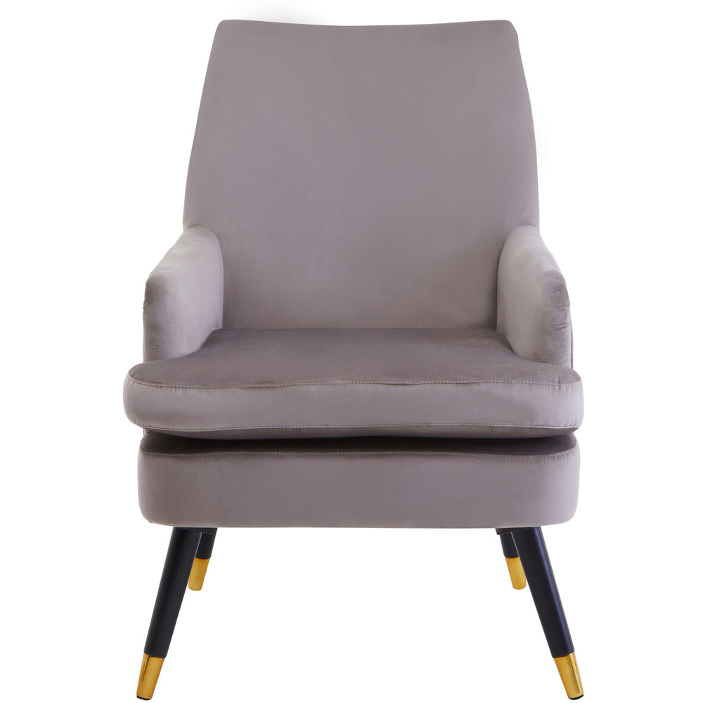 Premier Housewares Loretta Mink Velvet Accent Chair with Black Wooden legs Image 5