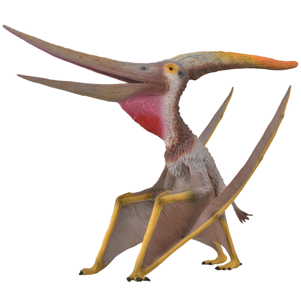 CollectA Pteranodon Dinosaur with Movable Jaw Grey Image