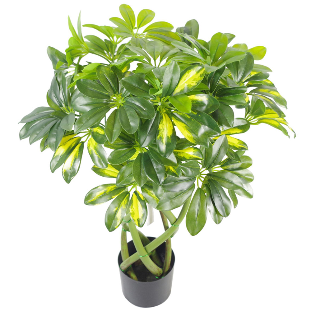 Leaf Gold Capella Arboricola Artificial Plant in Pot 70cm Image 2