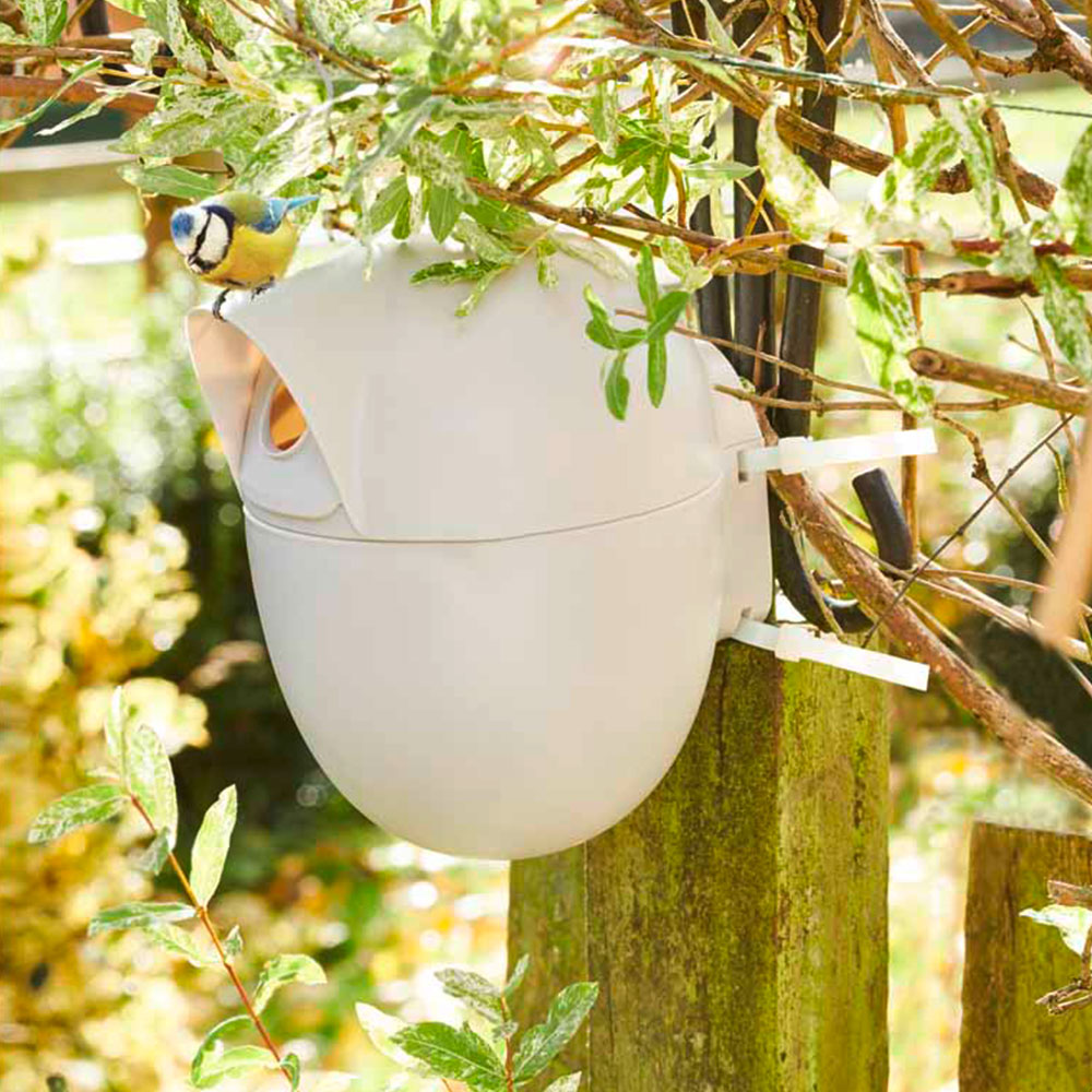 Wilko Wild Bird Nest Egg Wilko