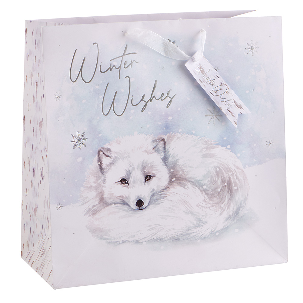 Wilko First Frost Extra Large Gift Bag Image 1