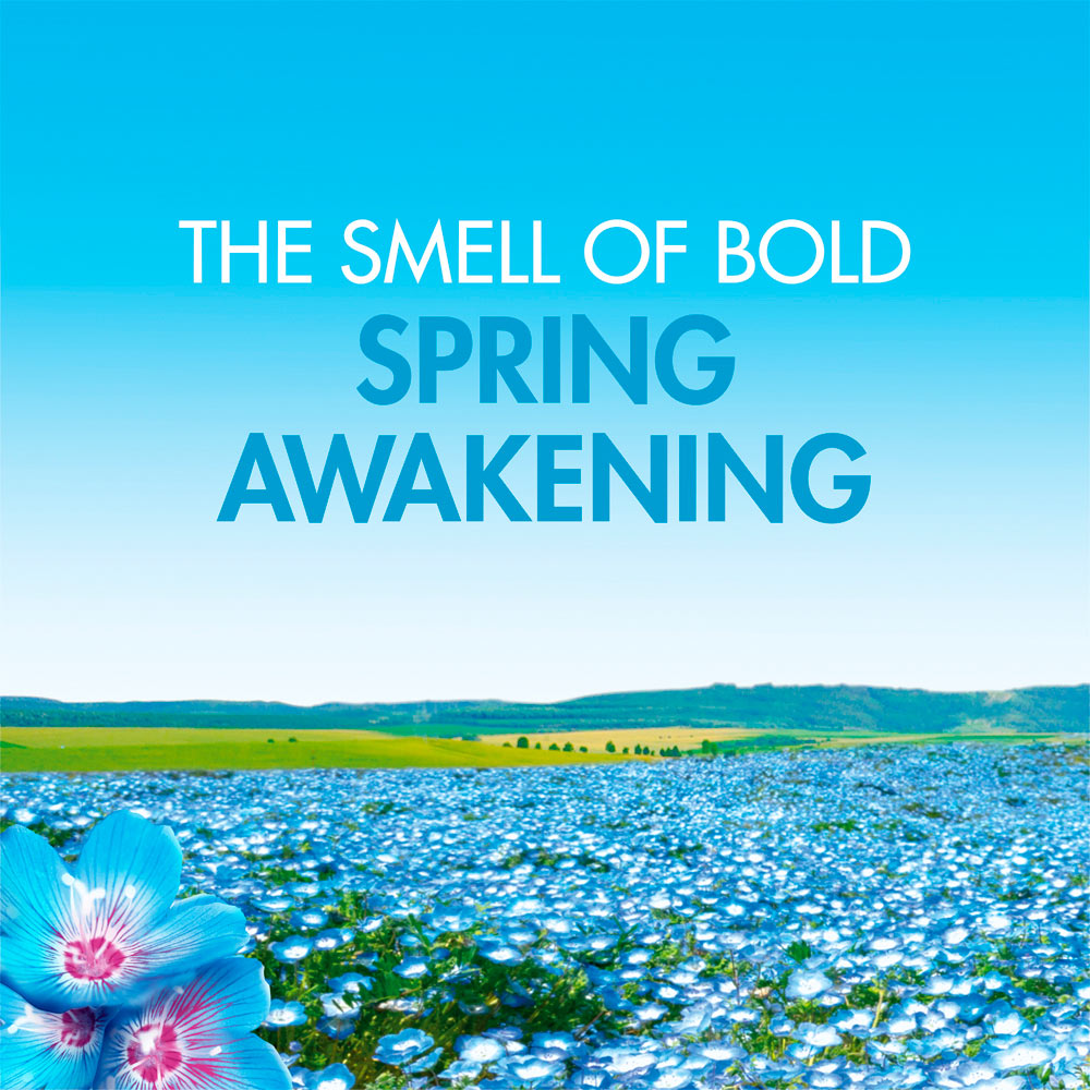Bold All in 1 Pods Spring Awakening Washing Liquid Capsules 33 Washes Image 7