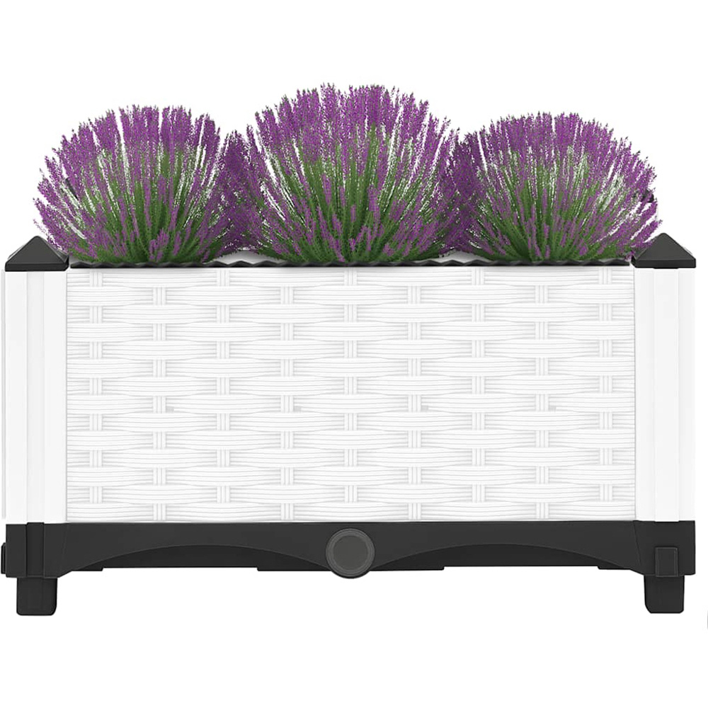 vidaXL White Polypropylene Raised Garden Bed 4 x 40 x 23cm Image 4