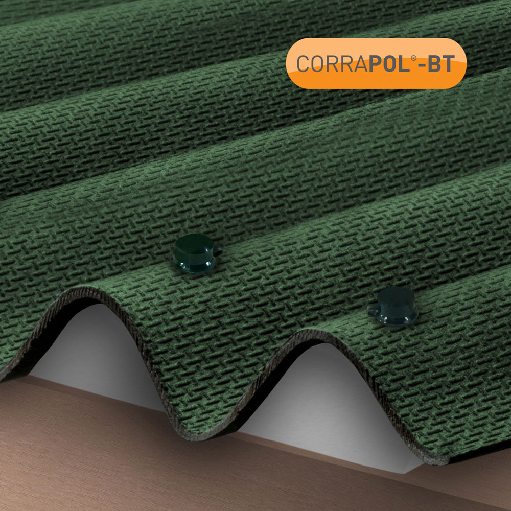 Corrapol-BT Green Screw Fixings 50 Pack Image 2