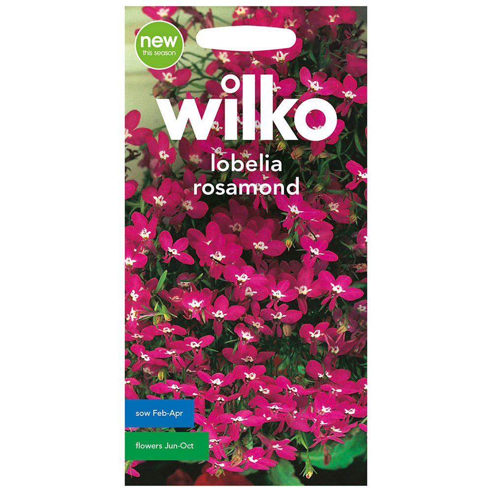 Wilko Lobelia Rosamund Seeds Image 2