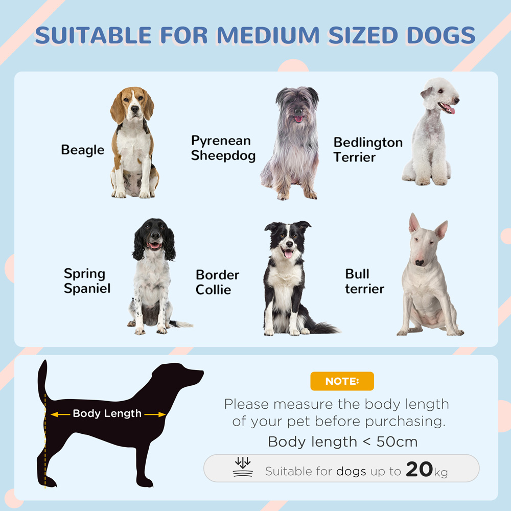 PawHut Grey Outdoor Medium Dog Kennel Image 4