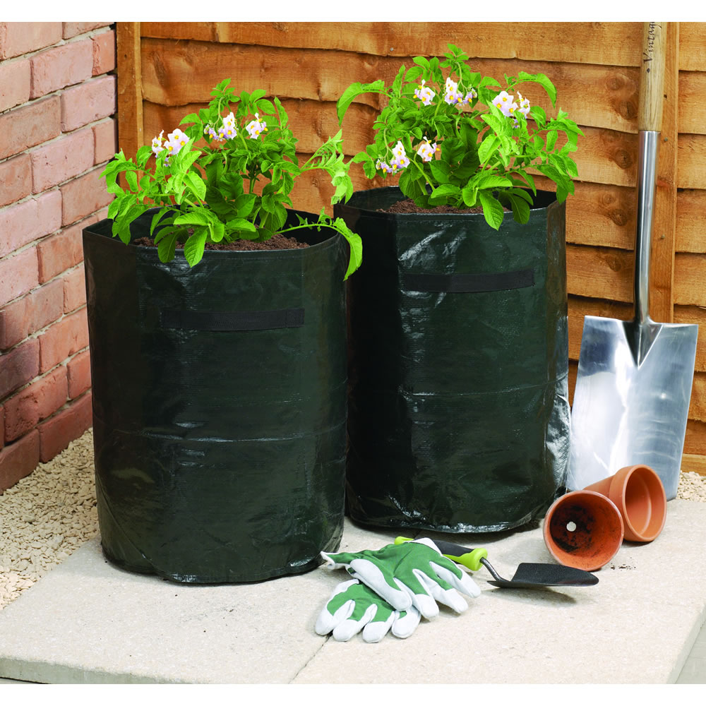 Wilko Grow Bag Potato 42L 2pk Image