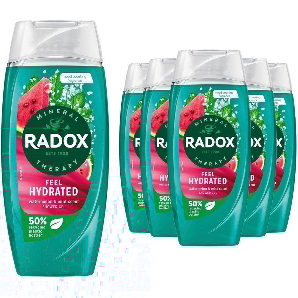 Radox Mineral Therapy Feel Hydrated Watermelon and Mint Scent Shower Gel 225ml 6 Pack Image 1