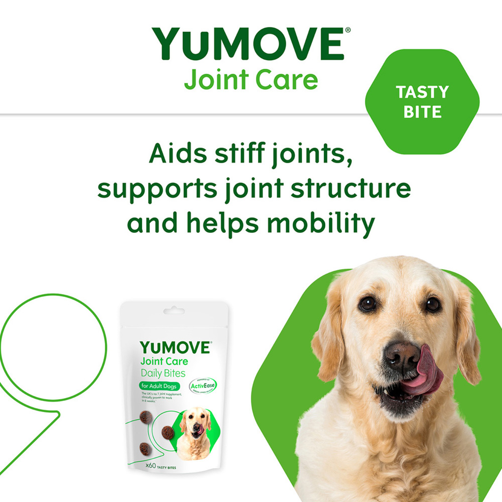 YuMOVE Joint Daily Bite Adult Dogs 60 pack Image 3