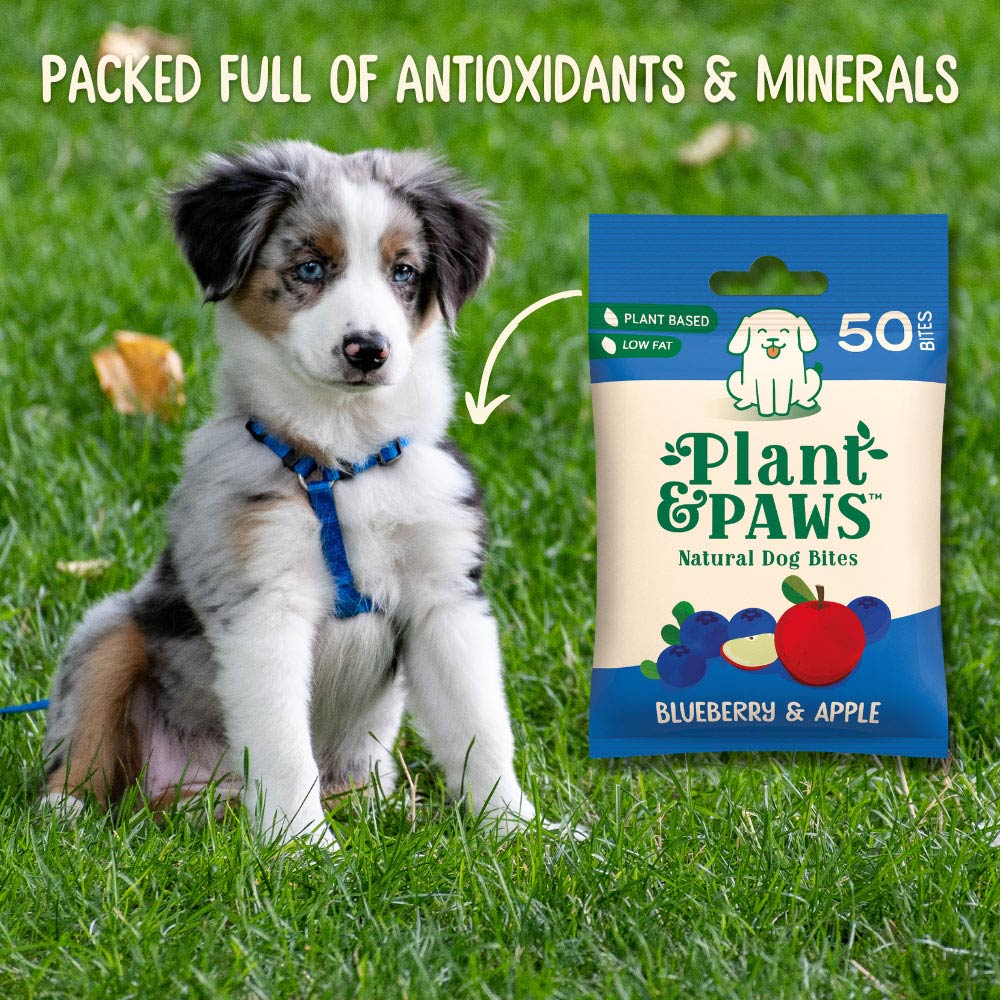 Plant & Paws Blueberry & Apple Natural Dog Bites 50 Pack Image 2
