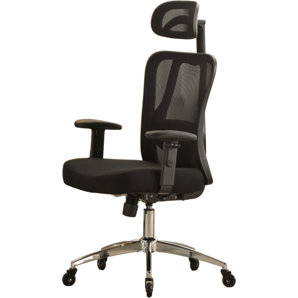 Home Source Lumo Black Ergonomic Mesh Computer Chair with Adjustable Armrest and Headrest Image 2