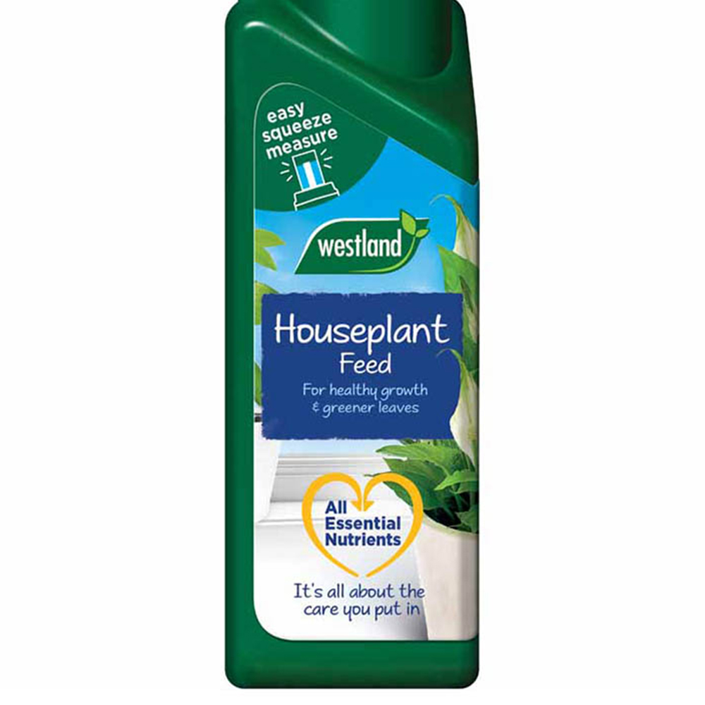 Westland House Plant Feed Concentrate 200ml Image 3