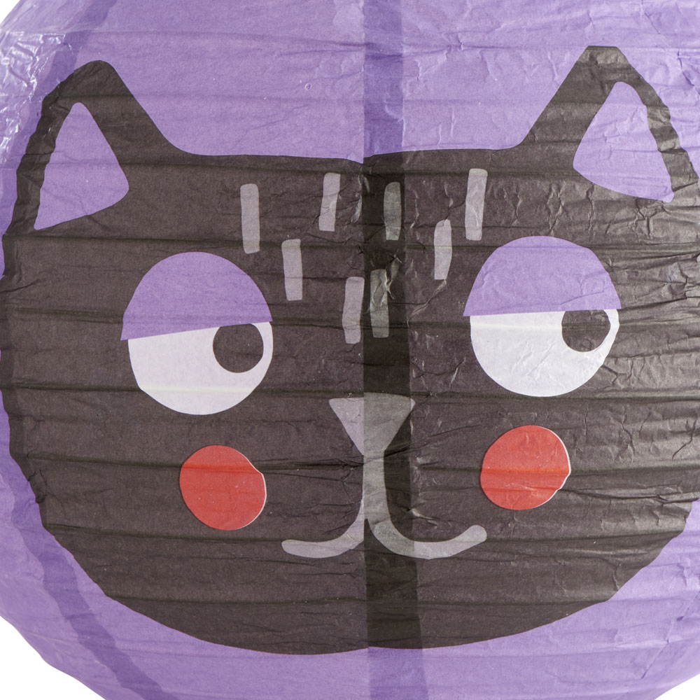 Wilko Halloween Paper Lanterns 2pk Wilko