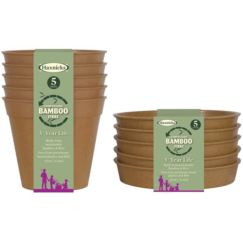 Garden Gear Terracotta Bamboo Pot with Saucer 15cm 5 Pack Image