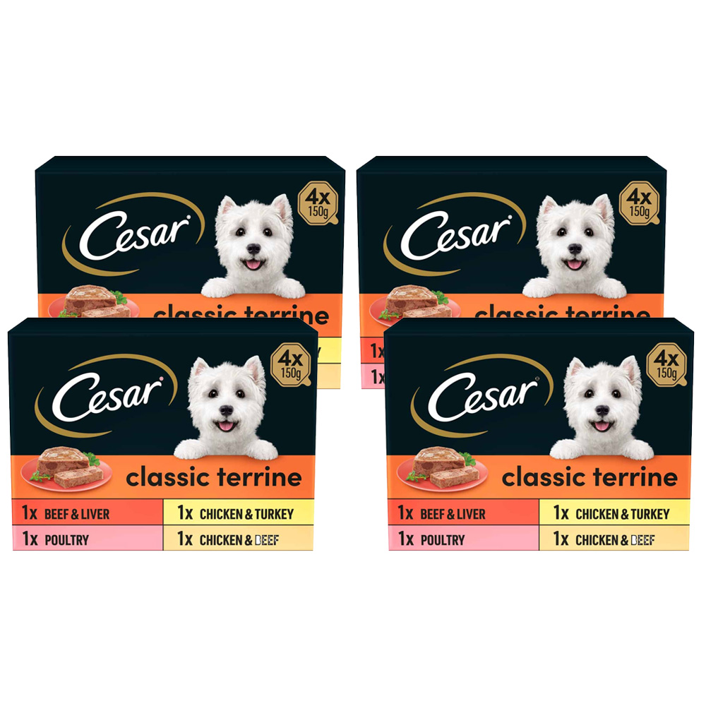 Cesar Classic Terrine Selection Dog Food Trays 150g Case of 4 x 4 Pack Image 1