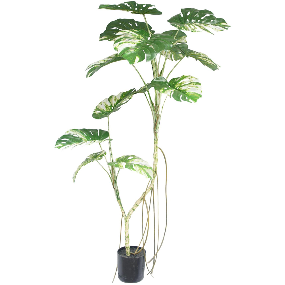Botanik Variegated Monstera Artificial Tree in Pot 6ft Image 1