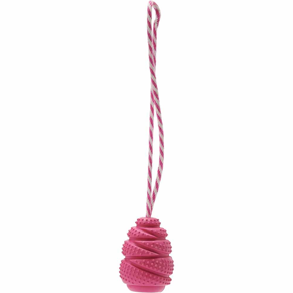 Single Rosewood Rope and Rubber Dog Toy in Assorted styles Image 2