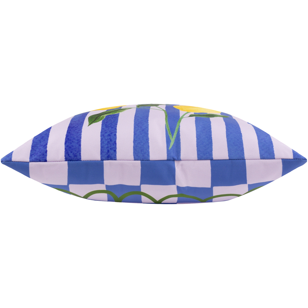 furn. Lemons Striped Blue Outdoor Reversible Cushion Image 4