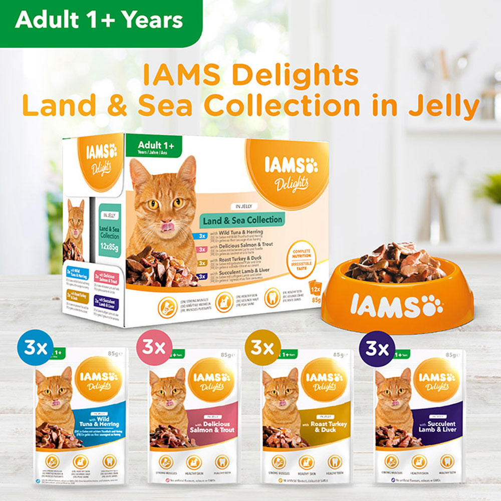 IAMS Delights Land and Sea Collection in Jelly Cat Food 12 x 85g Image 5