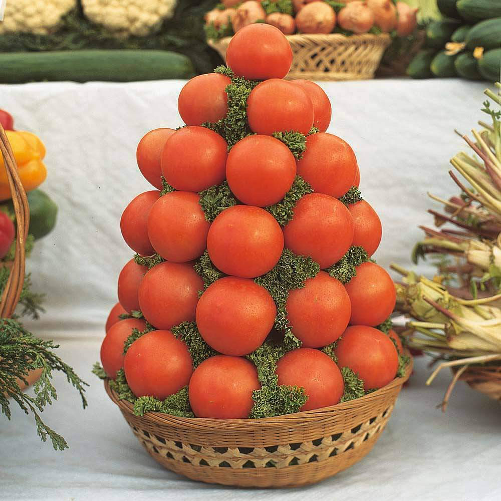 Thompson & Morgan Tomato Alicante Seed Packet Image 3
